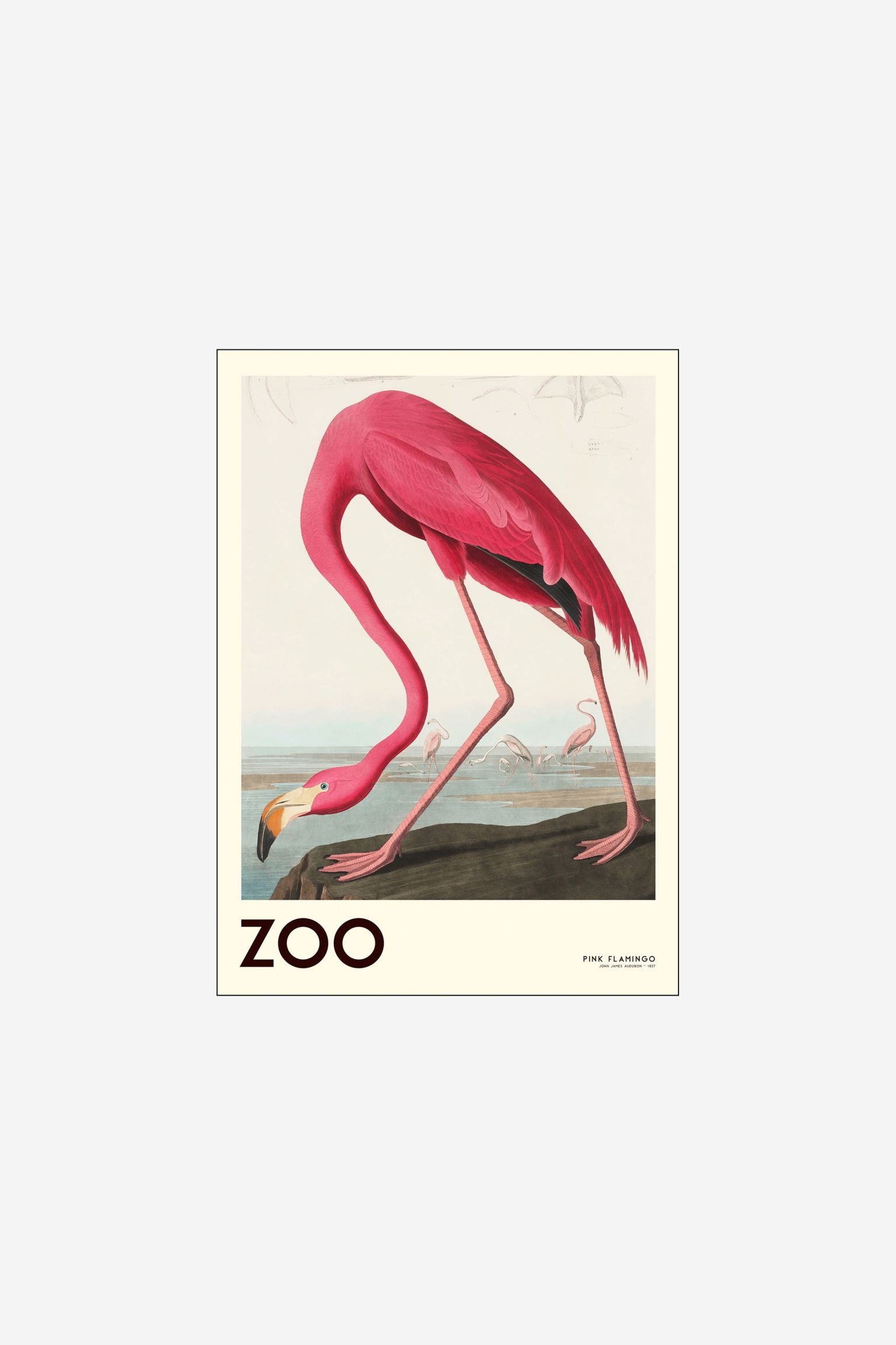 Poster & Frame Постер Ap Atelier — Коллекция Zoo — Розовый фламинго 01 1219236001 | 1219236001