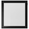 GLASSVIK ГЛАССВІК Скляні дверцята, чорне / прозоре скло, 60x64 см