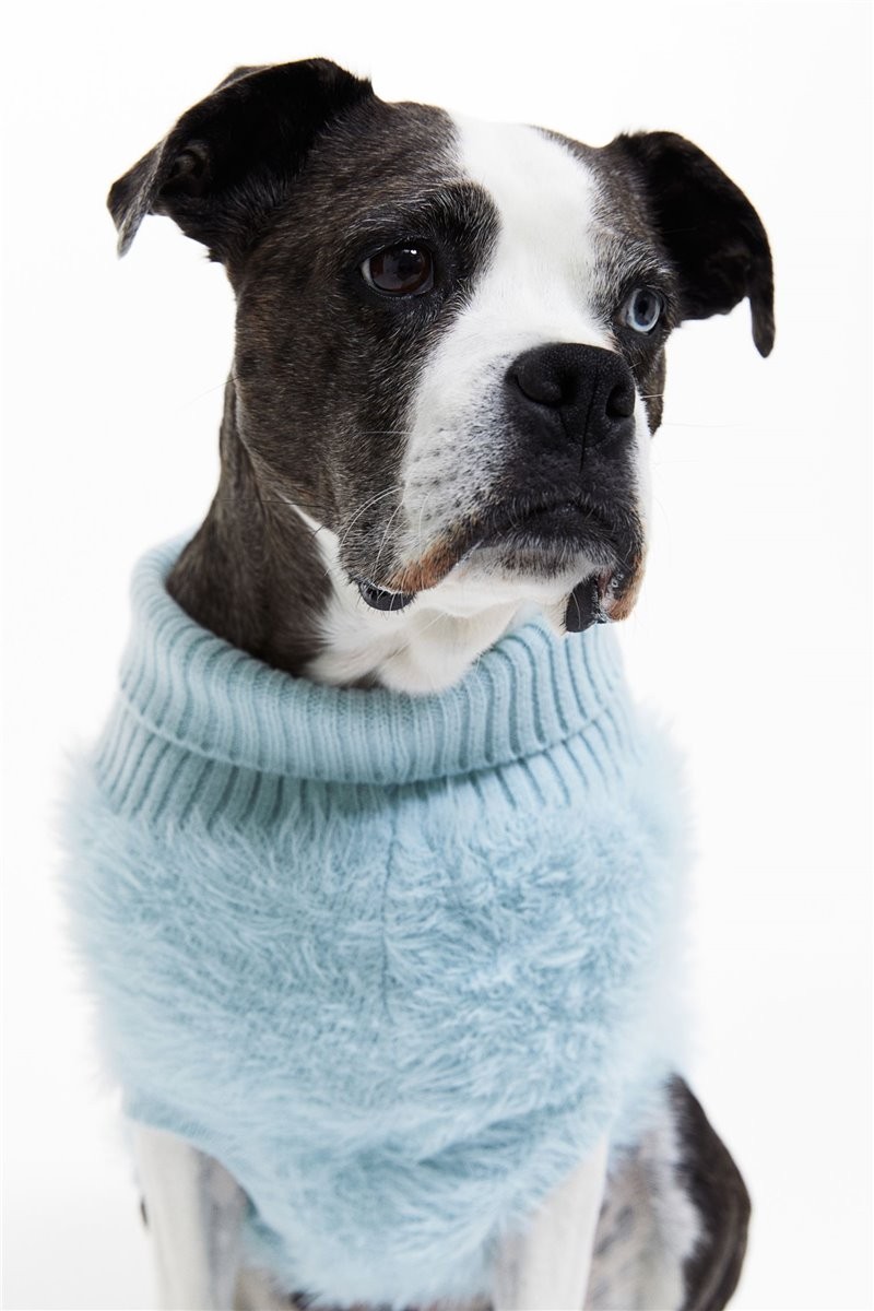Пушистый свитер для собаки, Светло-синий, Разные размеры