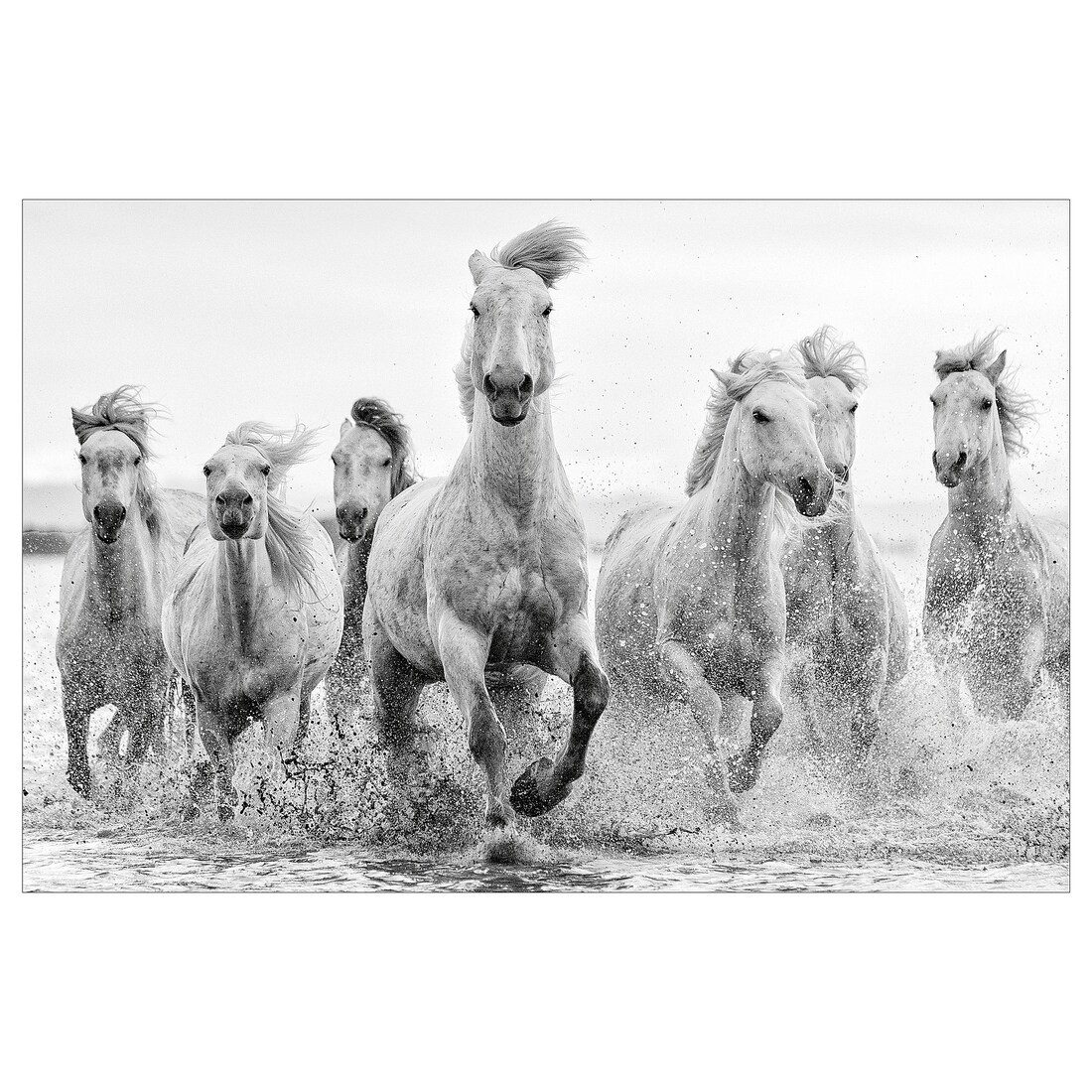 BJÖRKSTA Картина, лошади у воды, 118x78 см