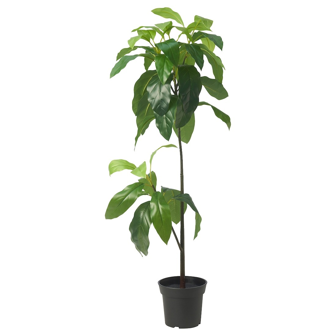 FEJKA Искусственное растение в горшке, внутренняя / внешняя сторона авокадо, 15 см