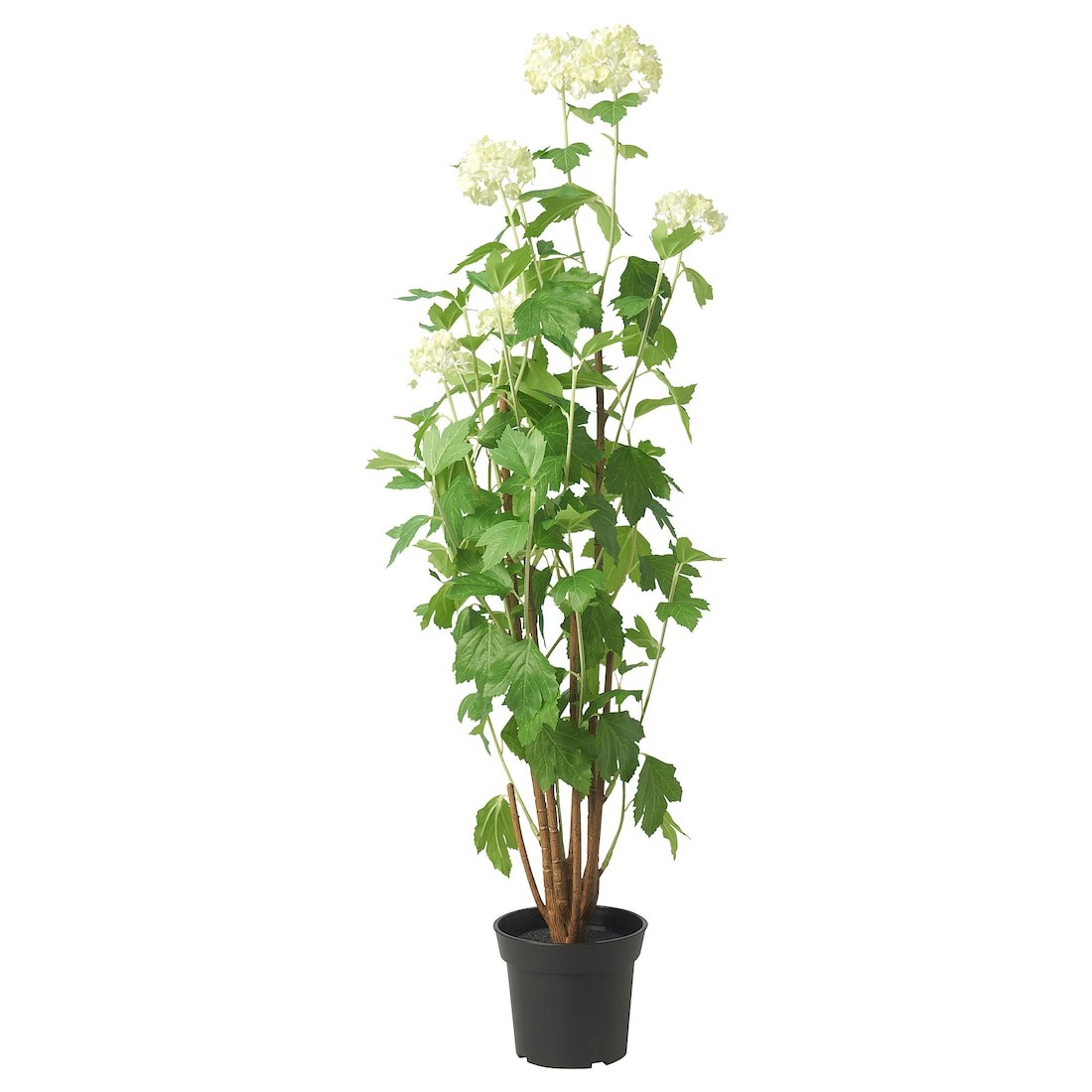 FEJKA Искусственное растение в горшке, Снежный ком для дома / для улицы, 15 см