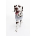 H&M Home Одежда для собак, Серый меланж/Микки Маус, Разные размеры 1067951010 | 1067951010