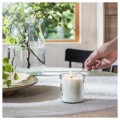 IKEA ADLAD Ароматическая свеча в стекле, Скандинавские леса / белый, 40 годин 00502186 | 005.021.86