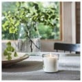 IKEA ADLAD Ароматическая свеча в стекле, Скандинавские леса / белый, 20 годин 50502103 | 505.021.03