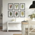 IKEA BILD Постер, коллекция листьев, 30x40 см 30571239 | 305.712.39