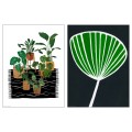 IKEA BILD БИЛЬД Постер, Горшечные растения, 30x40 см 10533446 | 105.334.46