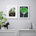 IKEA BILD БИЛЬД Постер, Горшечные растения, 30x40 см 10533446 | 105.334.46