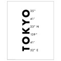IKEA BILD БИЛЬД Постер, Координаты Токио, 40x50 см 50513026 | 505.130.26