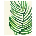 IKEA BILD БИЛЬД Постер, Тропический пальмовый лист II, 40x50 см 70442071 | 704.420.71