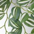 IKEA FEJKA ФЕЙКА Искусственное растение с держателем, для дома / улицы / зеленый 70548628 705.486.28