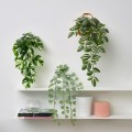 IKEA FEJKA ФЕЙКА Искусственное растение с держателем, для дома / улицы / зеленый 70548628 705.486.28