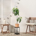 IKEA FEJKA Искусственное растение в горшке, внутренняя / внешняя сторона авокадо, 15 см 10571693 105.716.93