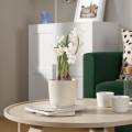 IKEA FEJKA Искусственное растение в горшке, для дома / для улицы / белый нарцисс, 12 см 30571687 | 305.716.87