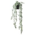IKEA FEJKA ФЕЙКА Искусственное растение в горшке, для дома / улицы подвесной / эвкалипт, 9 см 70466811 704.668.11