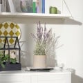 IKEA FEJKA Искусственное растение в горшке, для дома / улицы / лаванда сиреневый, 12 см 50571691 | 505.716.91