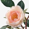 IKEA FEJKA ФЕЙКА Искусственное растение в горшке, для дома / улицы / Роза розовый, 9 см 00395313 003.953.13