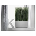 IKEA FEJKA ФЕЙКА Искусственное растение и кашпо, для дома / улицы Трава 10508456 105.084.56