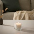 IKEA FRAMFÄRD ФРАМФЭРД Ароматическая свеча в стекле, свежее белье / белый, 8 см 70496785 | 704.967.85