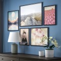 IKEA BILD БИЛЬД Постер, красота цветов, 30x40 см 60513059 | 605.130.59
