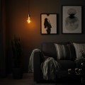 IKEA SKAFTET / MOLNART Подвесной светильник с лампочкой, никелированный / форма эллипса разноцветный 09494530 094.945.30