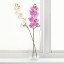 IKEA SMYCKA СМИККА Цветок искусственный, Орхидея / белый, 60 см 80333585 803.335.85
