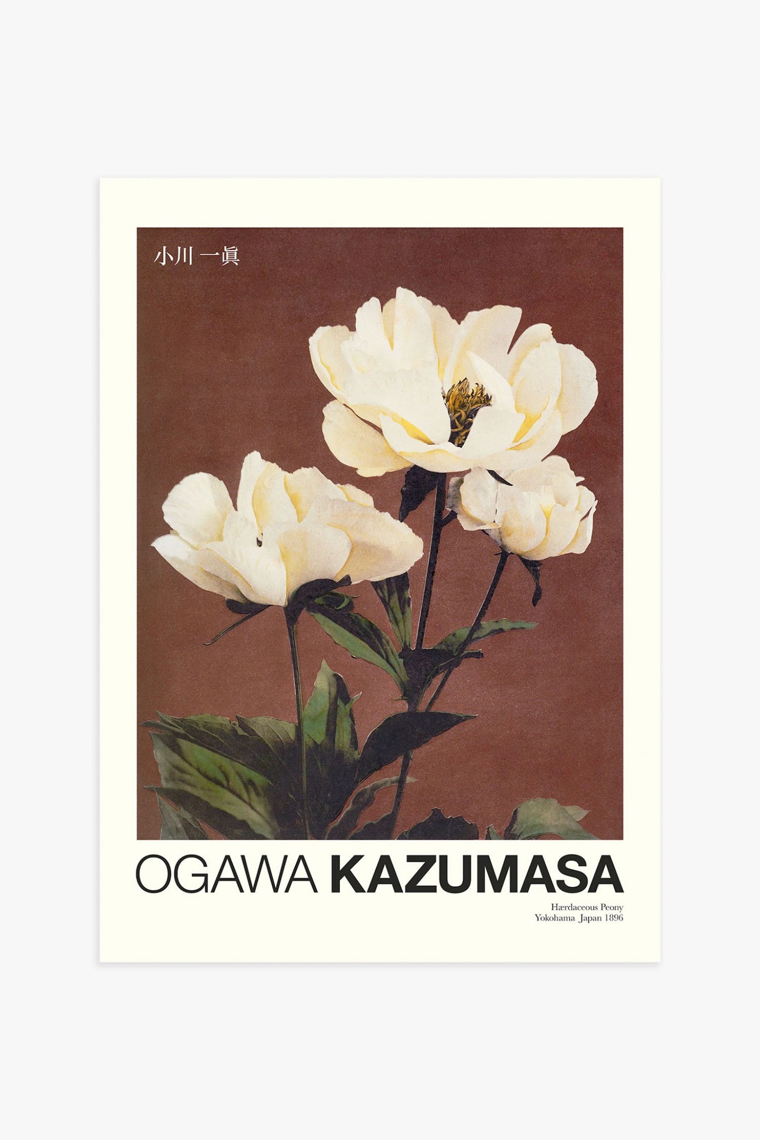 Postery Постер Peony By Kazumasa - червоний/коричневий 1108497001 | 1108497001