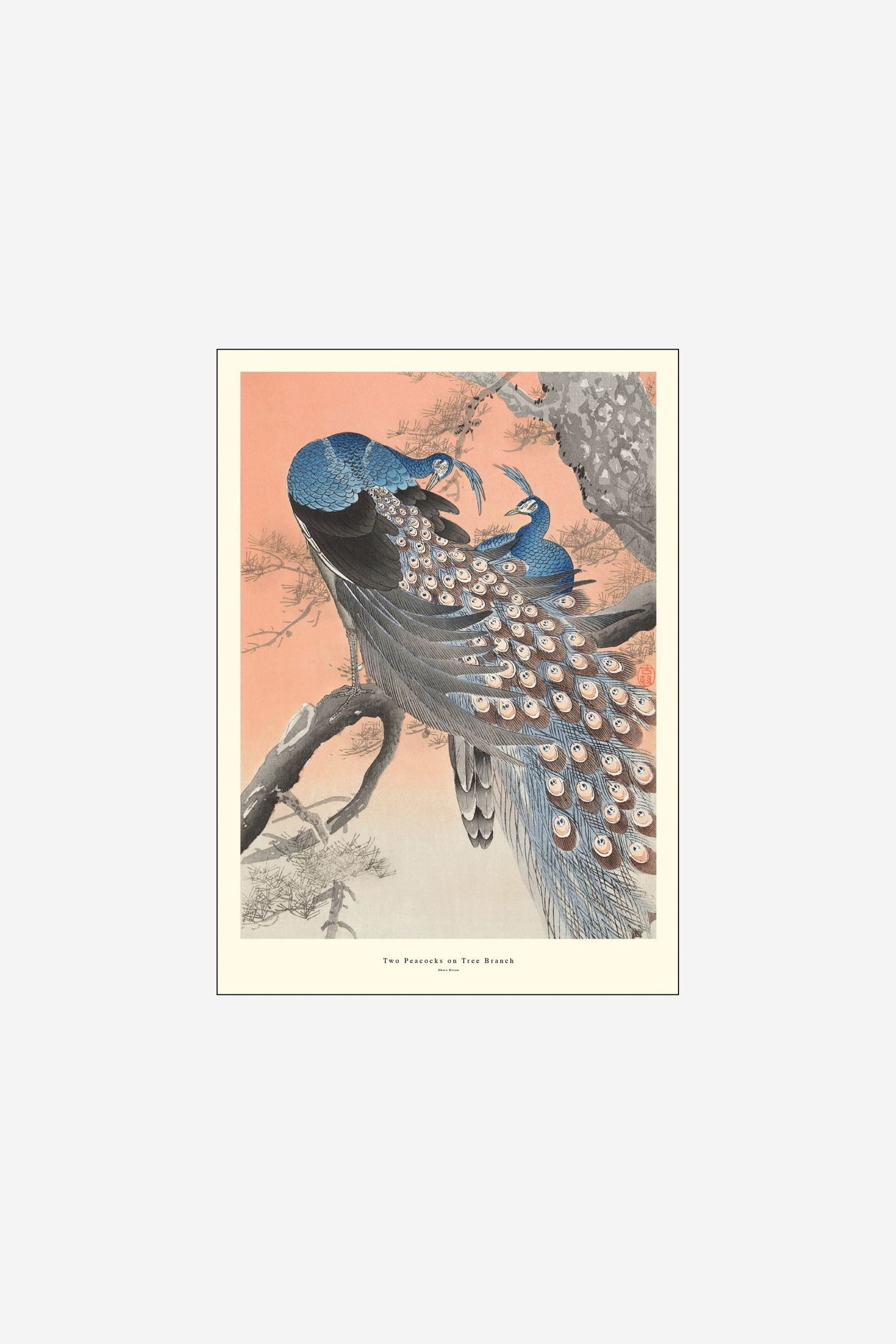 Poster & Frame Постер Ap Atelier - Two Peacocks On Tree Branch - Colorful/peacocks 1219209001 | 1219209001