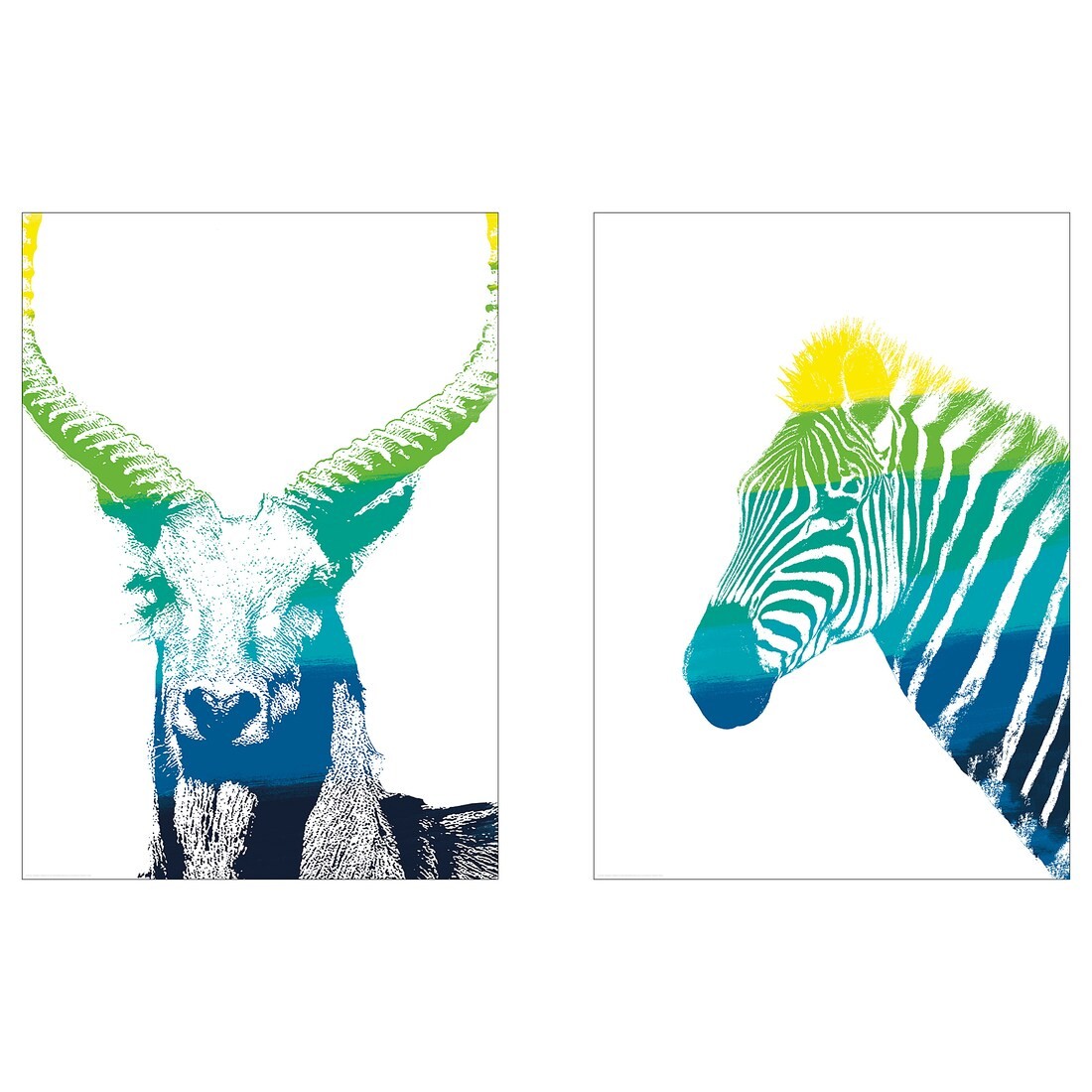 IKEA BILD БІЛЬД Постер, Тварини в спектрі, 40x50 см 30446924 304.469.24