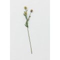 H&M Home Квітка штучна, Світло зелений 0824302001 0824302001