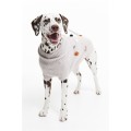 H&M Home Светр для собак, прикрашений помпонами, Світло-бежевий, Різні розміри 0906382001 0906382001