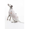 H&M Home Светр для собак, прикрашений помпонами, Світло-бежевий, Різні розміри 0906382001 0906382001