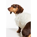H&M Home Пухнастий светр для собаки, Білий, Різні розміри 1019978002 | 1019978002