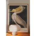 Poster & Frame Постер Ap Atelier - Zoo Collection - White Pelican - 01 1219230001 | 1219230001