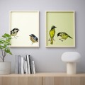 IKEA BILD БІЛЬД Постер, Міські птахи II, 40x50 см 30436034 304.360.34