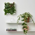 IKEA FEJKA ФЕЙКА Штучна рослина, настінна / для дому / вулиці зелений / бузковий, 26x26 см 50546569 | 505.465.69