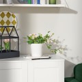 IKEA FEJKA Штучна рослина в горщику, для дому / для вулиці / світло-рожевий, 12 см 90571689 905.716.89