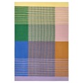 IKEA TESAMMANS килим пласке плетення, різнобарвний, 155x220 см 10551765 105.517.65