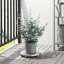 IKEA FEJKA ФЕЙКА Штучна рослина в горщику, для дому / вулиці Евкаліпт, 15 см 40452368 404.523.68