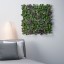 IKEA FEJKA ФЕЙКА Штучна рослина, стіна / вхід / зовні зелений / ліловий, 26x26 см 20349532 203.495.32