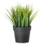 IKEA FEJKA ФЕЙКА Штучна рослина в горщику, для дому / вулиці Трава, 9 см 00433942 004.339.42
