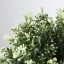 IKEA FEJKA ФЕЙКА Штучна рослина в горщику, чебрець, 9 см 90375155 903.751.55
