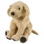 IKEA GOSIG GOLDEN ГОСІГ ГОЛЬДЕН Іграшка м’яка, собака / золотистий ретривер, 40 см 00132798 001.327.98