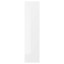 IKEA RINGHULT РІНГХУЛЬТ Двері, глянцевий білий, 20x80 см 70205098 702.050.98