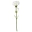 IKEA SMYCKA СМЮККА Квітка штучна, гвоздика / білий, 30 см 20333588 203.335.88