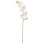 IKEA SMYCKA СМЮККА Квітка штучна, Орхідея / білий, 60 см 80333585 803.335.85