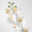 IKEA SMYCKA СМЮККА Квітка штучна, Орхідея / білий, 60 см 80333585 803.335.85
